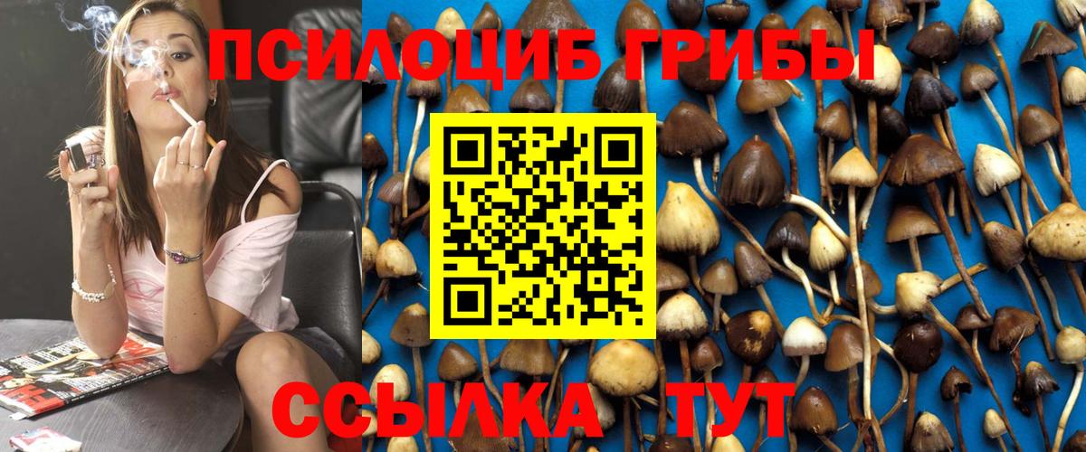 Галлюциногенные грибы прущие грибы  Вход с VPN  Владивосток 